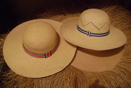 Pava reina cinta