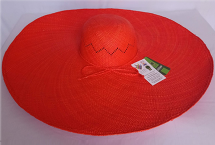 Pava Pasarela extra alona